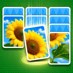 Icono de Jigdrop Match-Solitaire Puzzle